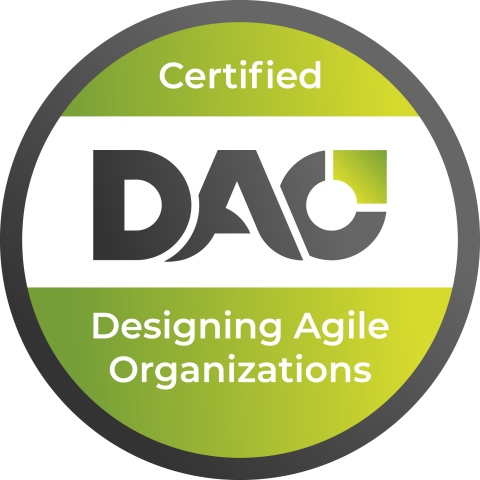 Designing Agile Organizations Logo