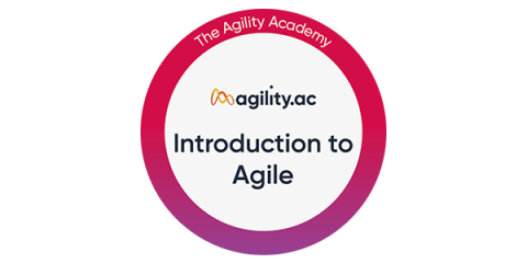 Introduction to Agile Logo