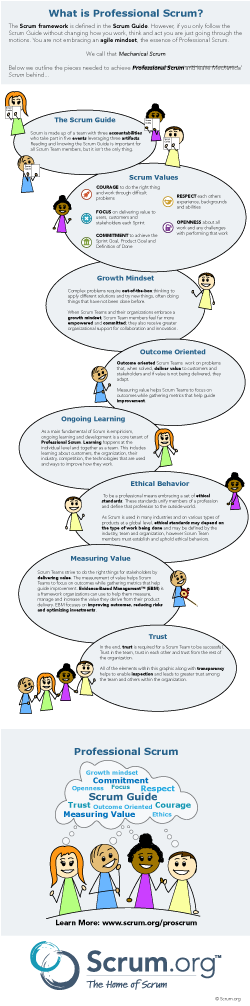 Professional Scrum Infographic Thumbnail